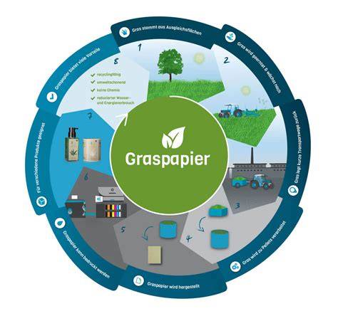 Struktur und Zusammensetzung von Graspapier