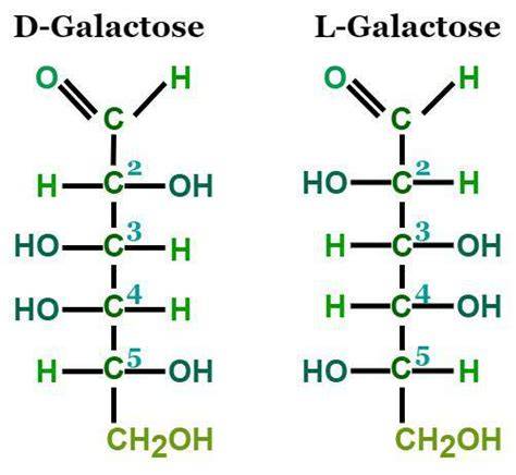 Strukturformel von D-Galactose