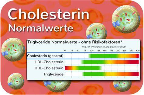 Studien zu Schokoladengenuss und Cholesterin