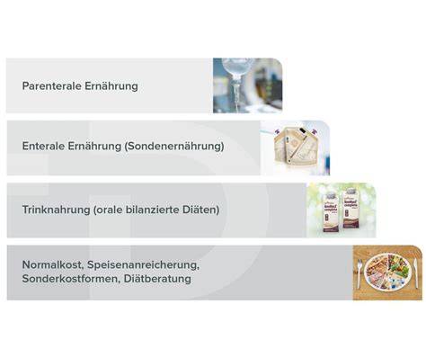 Stufen der Honigbearbeitung - Übersichtsgrafik