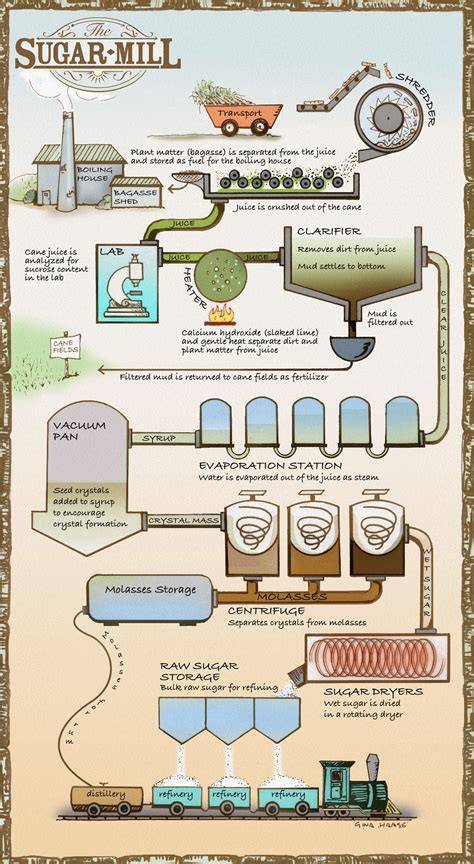 Sugarcane field and mill schematic