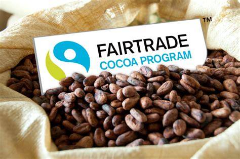 Symbolbild Nachhaltigkeit Fairtrade Kakao