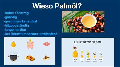 Symbolbild Palmöl und Umweltauswirkungen