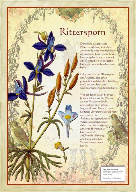 Symbolik: Rittersporn und Rabe
