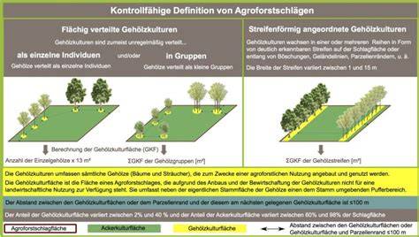 Symbolische Darstellung: Nachhaltige Kakao-Produktion mit Agroforstwirtschaft