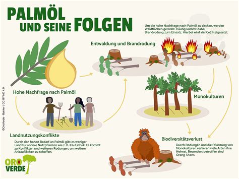 Symbolische Darstellung Palmöl und Abholzung
