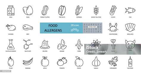 Symbolische Darstellung von Allergenen: Gluten, Milch, Nüsse