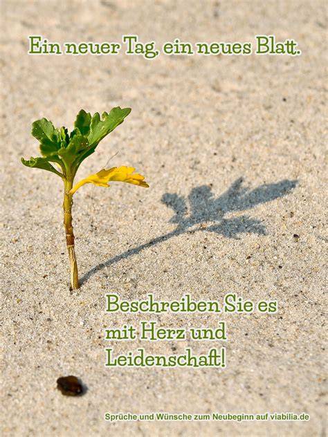 Symbolischer Neubeginn für das Paar