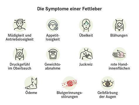 Symptome beider Formen der Fettleber