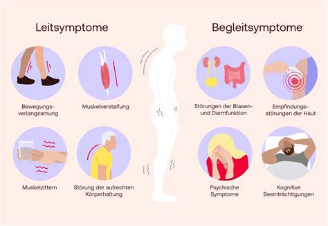 Symptome und Diagnostik bei Bauchspeicheldrüsen-Erkrankungen