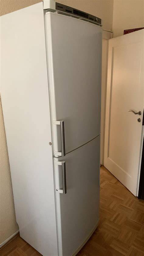 Türjustierung bei Kühlschrank