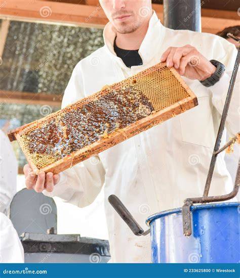Türkische Honigwabe frisch aus dem Bienenstock