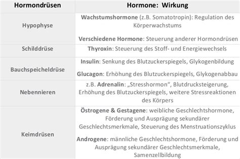 Tabelle: Übersicht der gängigsten Zuckerersatzstoffe und deren Wirkung