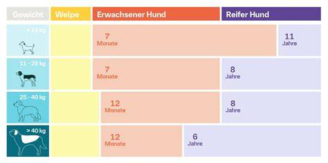 Tabelle: Honigdosierung für Hunde nach Gewicht