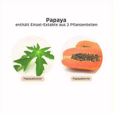 Tablett mit Papaya, Papayakernen, Papayablättern und Manuka-Honig im Anwendungsbeispiel