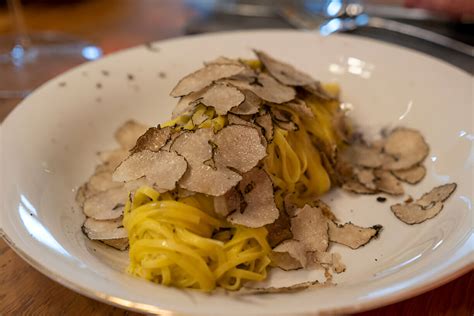 Tagliolini mit Gorgonzola-Trüffel-Soße - Telleraufnahme mit gehobeltem Sommertrüffel