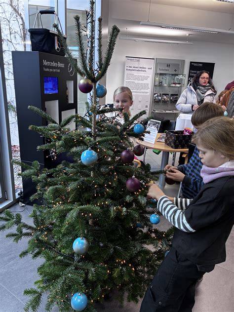 Tannenbaum Tradition in Mythologie und Medizin