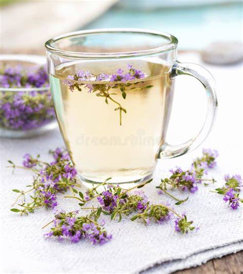 Tasse Thymiantee mit Honig