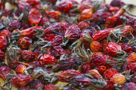 Teeblätter, Hibiskusblüten und Hagebutten als Aromageber
