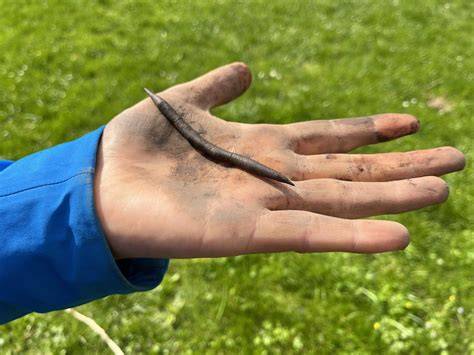 Teigkontrolle: Volumenverdopplung und Fingerprobe