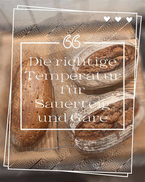 Temperatur-Leitfaden für die richtige Tortenlagerung
