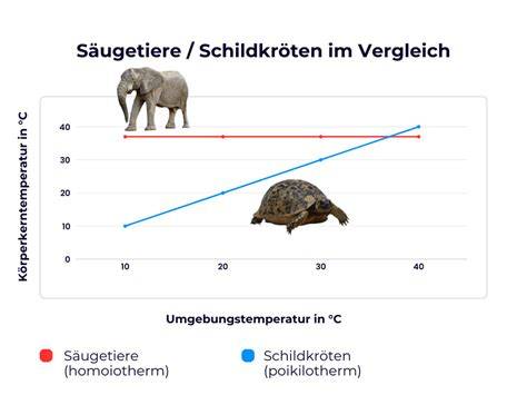 Temperaturdiagramm: Erwärmungskurve im Honigauftaugerät vs. Backofen/Mikrowelle