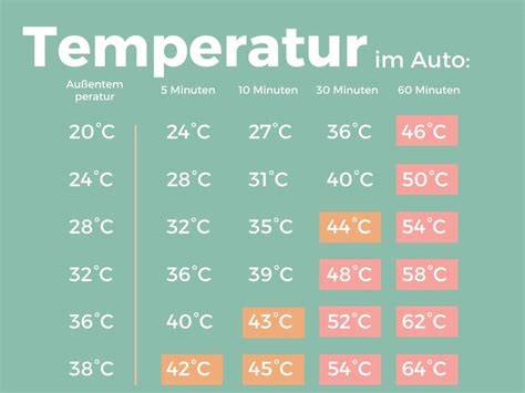 Temperaturtabelle: optimale Serviertemperaturen