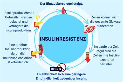 Teufelskreis: Fettleber und Insulinresistenz