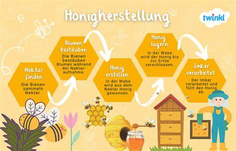 Thematische Übersicht: Plattnerhof, Bienen und Honigherstellung in Südtirol