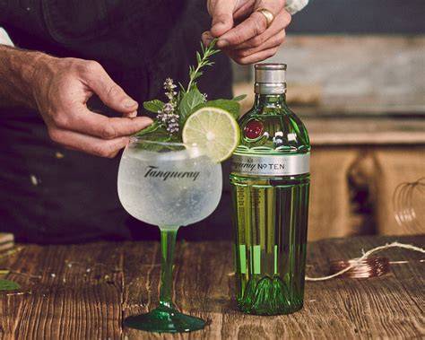Themenfoto: Gin & Tonic mit Light-Tonic und frischen Botanicals