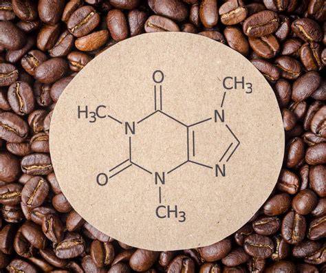 Theobromin-Molekül und Vergleich zu Koffein