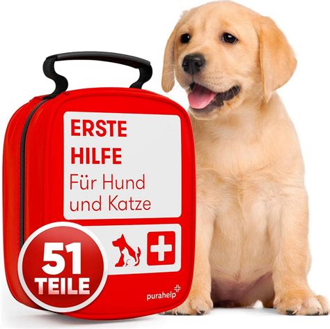 Tierärztliche Erste Hilfe Hund Schokolade