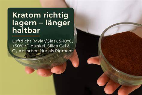 Tipps zur Kekslagerung für optimale Haltbarkeit
