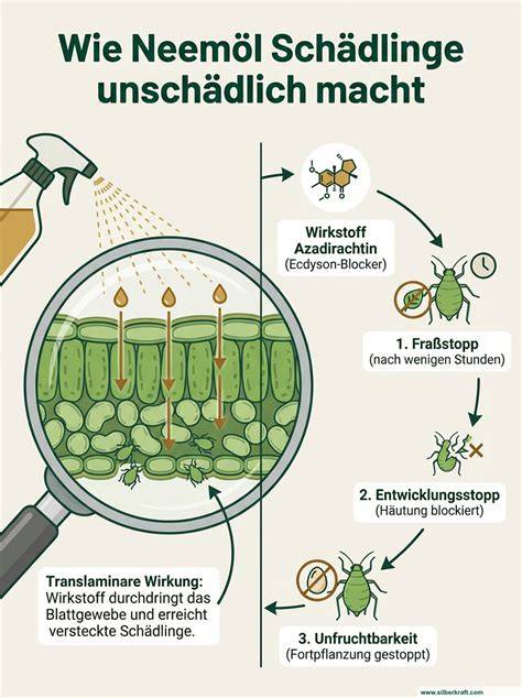 Tipps zur Vorratshaltung gegen Schädlinge