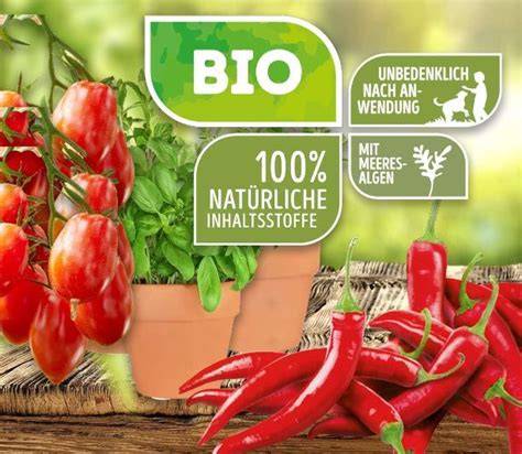 Tomaten, Chili, Kräuter