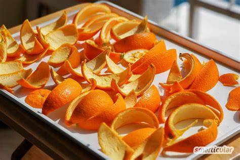 Topf mit Orangenschalen im Zuckersirup