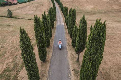 Toskanische Landstraße mit Zypressen und Vespa