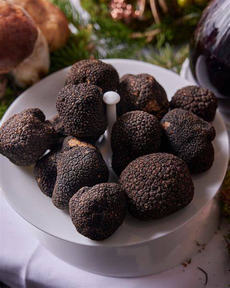 Trüffel, schwarze und weiße Sorten, in einer Gourmetküche