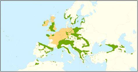 Trüffelarten und geographische Verbreitung (Europa-Karte)