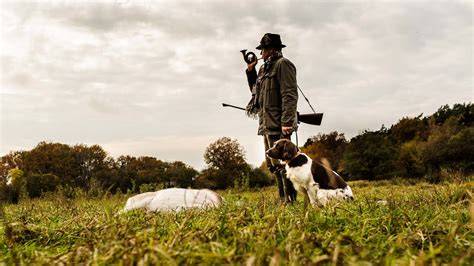 Trüffelhunde auf der Jagd im istrischen Wald