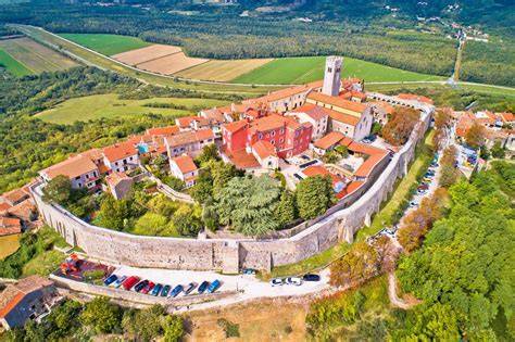 Trüffeljagd in den Wäldern um Motovun