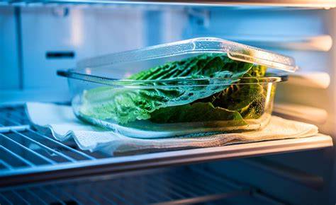 Trüffellagerung im Kühlschrank: Auf Küchenpapier & im Glas