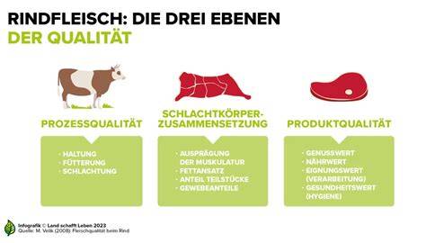 Trüffelmarkt und Qualitätsauswahl - Qualitätsmerkmale im Vergleich