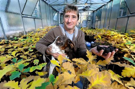 Trüffelplantage im Leinebergland mit Trüffelsuchhund