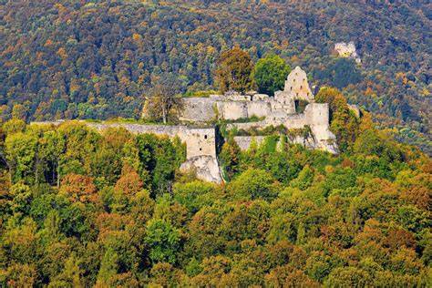 Trüffelplantagen auf der Schwäbischen Alb