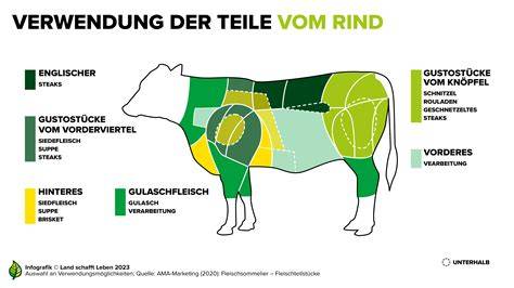 Trüffelprodukte und deren Verwendung in der Gourmetküche: Infografik