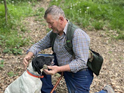 Trüffelsuche mit Hund im Piemont