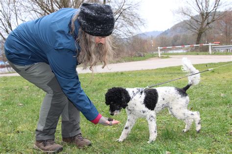 Trüffelsuche mit Hund in der Toskana