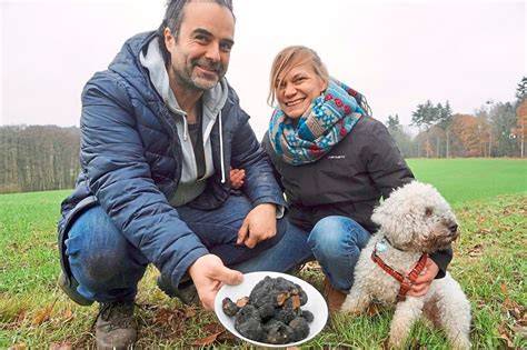 Trüffelsucher Tassilo Pöter mit geschultem Hund bei der Trüffelernte in Niedersachsen