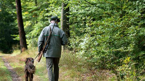 Trüffelsucher mit Hund bei der Suche im Wald